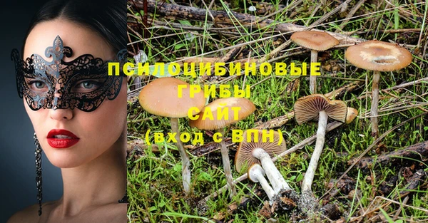 spice Богородск