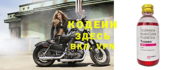 spice Богородск