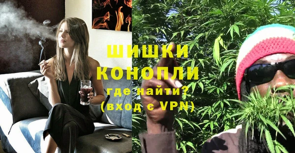 spice Богородск