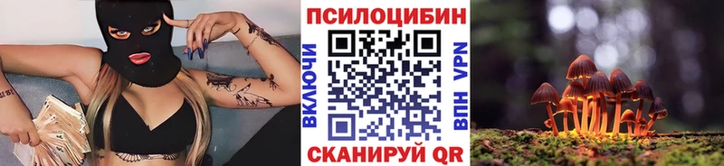 Псилоцибиновые грибы мицелий  Купить где  Красный Сулин 
